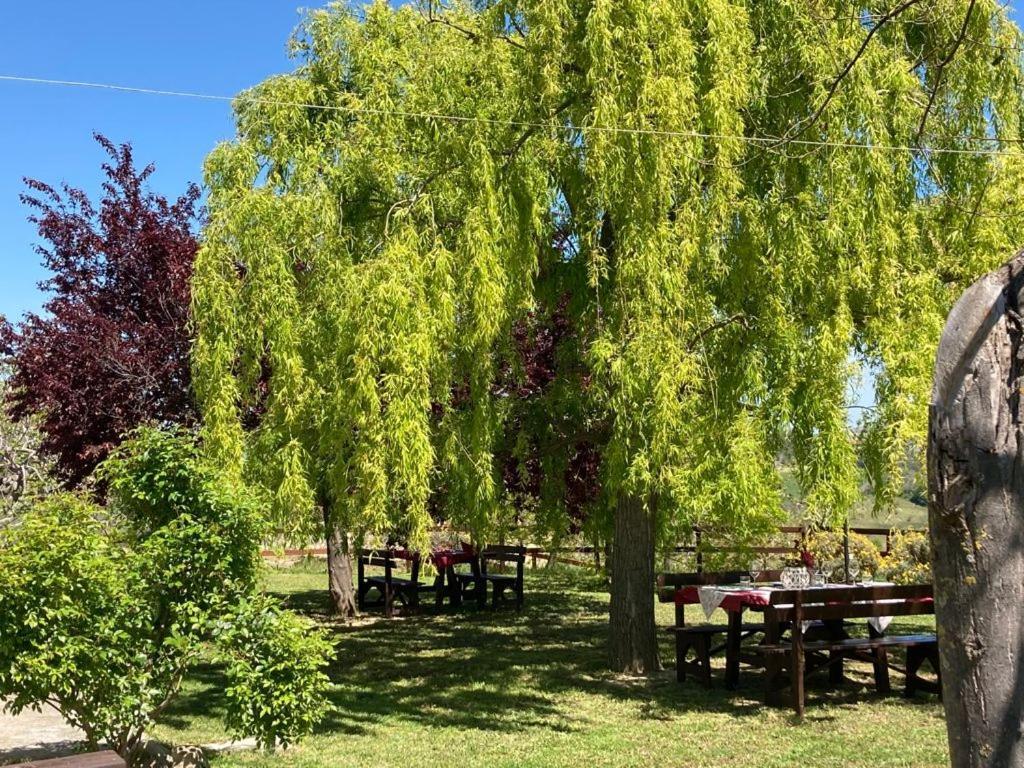Agriturismo Il Portico Penne Zewnętrze zdjęcie
